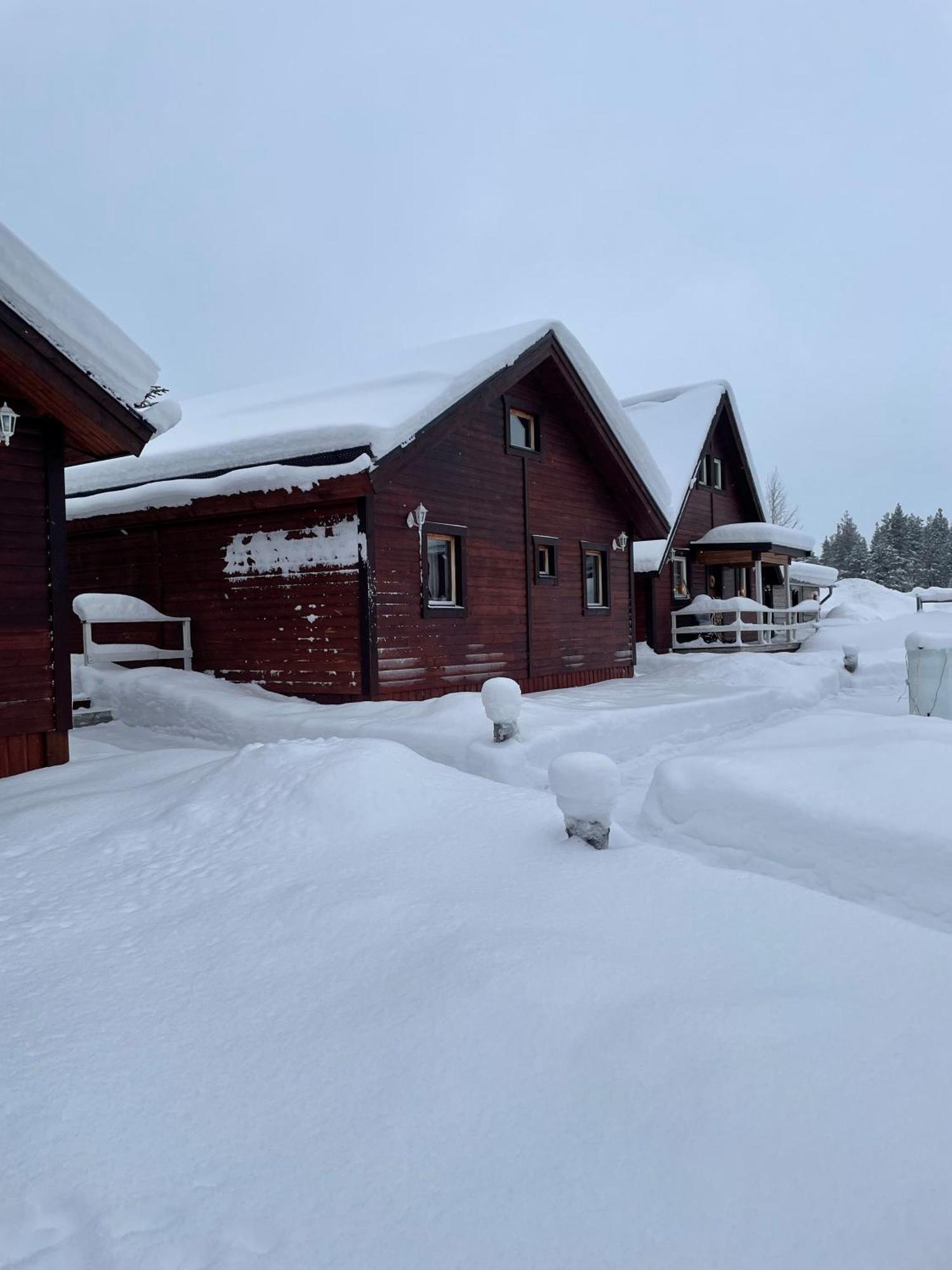 Skogen-Lodge Koskullskulle Exteriér fotografie