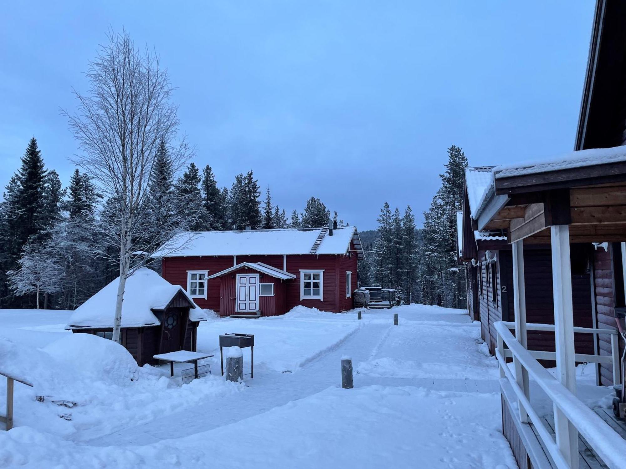 Skogen-Lodge Koskullskulle Exteriér fotografie